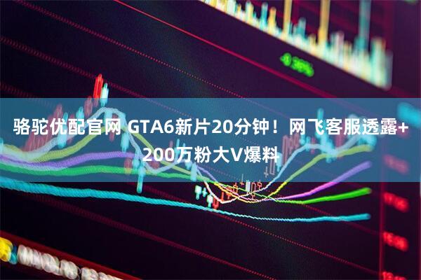 骆驼优配官网 GTA6新片20分钟！网飞客服透露+200万粉大V爆料