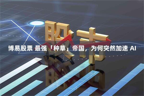 博易股票 最强「种草」帝国，为何突然加速 AI