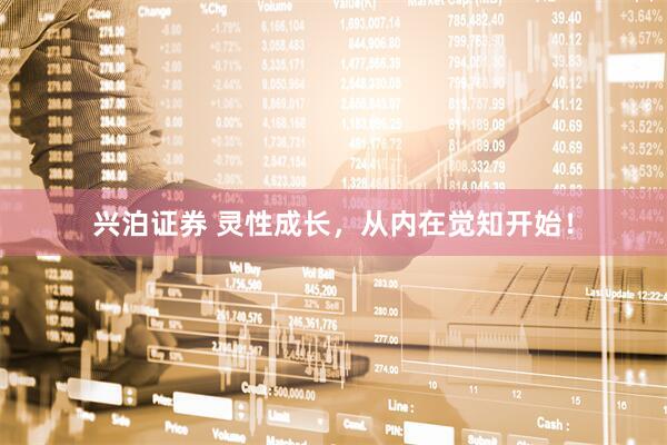 兴泊证券 灵性成长,从内在觉知开始!